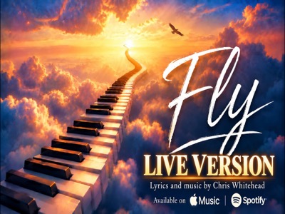 FLY - LIVE